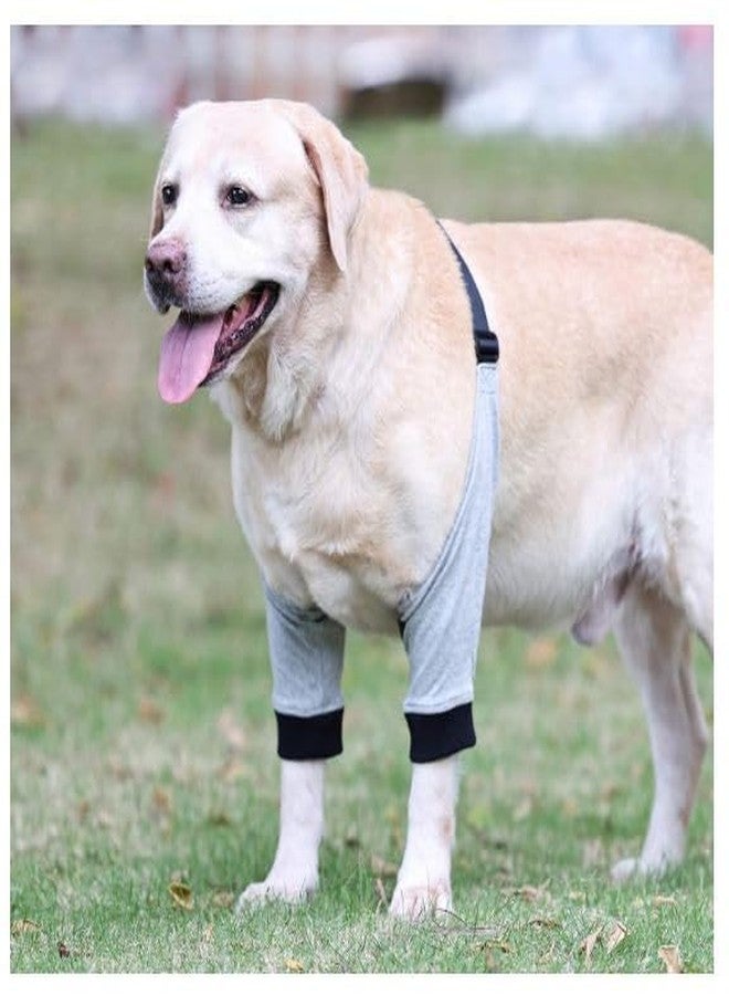 Mullica Elbow Protector for Dogs - Anti-Slip Elbow Brace for Hygroma, Wounds & Arthritis | Comfortable Dog Elbow Pads for Adjustable Elbow Brace for Large (L) - Recovery & Support Sleeve - Image 4
